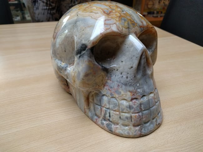 skull.jpg
