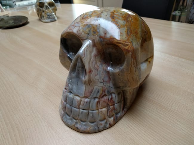 skull_2-1.jpg