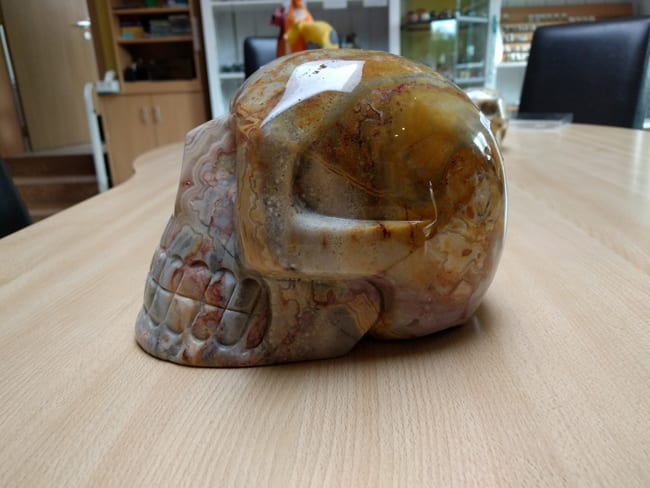 skull_3.jpg