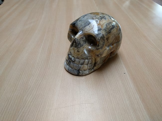skull_small_2.jpg