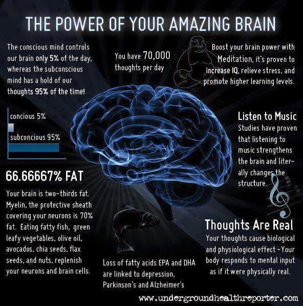 amazing-brain.jpg