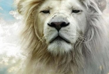 witte leeuw