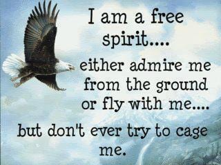 i-am-a-free-spirit.jpg