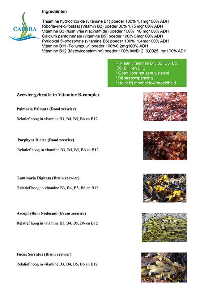 Capura-Vitamine-B-Complex-label.jpg