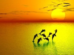 Vrije geesten.